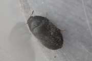 Thumbnail 410541 B