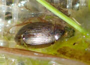 Thumbnail 410587 B