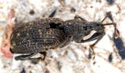 Thumbnail 410607 B