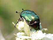 Thumbnail 410663 B