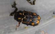 Thumbnail 410700 B