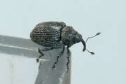 Thumbnail 410756 B