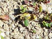 Thumbnail 410836 B