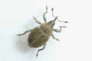 Thumbnail 410854 B