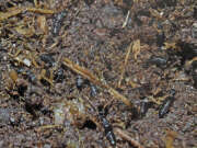 Thumbnail 410862 B