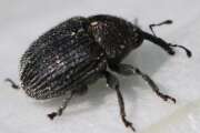 Thumbnail 410875 A