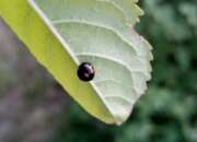 Thumbnail 410879 B