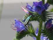 Thumbnail 410988 B