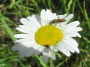 Thumbnail 412029 B