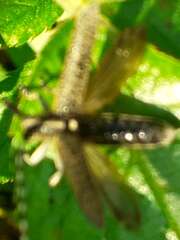 Thumbnail 412096 B