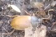 Thumbnail 412330 B
