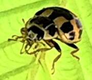 Thumbnail 412522 B