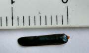 Thumbnail 413781 B