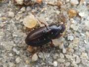 Thumbnail 413982 B