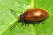 Thumbnail 415256 B