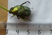 Thumbnail 415307 B