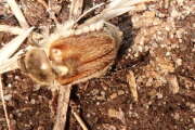 Thumbnail 415778 B