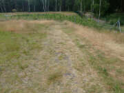 Thumbnail 415981 B