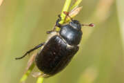 Thumbnail 416879 A
