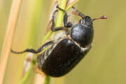 Thumbnail 416879 B