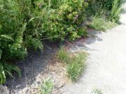Thumbnail 416931 B