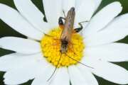 Thumbnail 417252 B