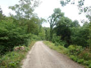 Thumbnail 417467 B