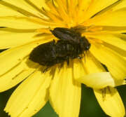Thumbnail 417558 B