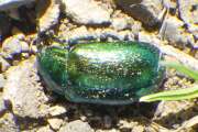 Thumbnail 417674 B