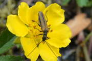 Thumbnail 418027 B