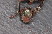 Thumbnail 418925 B