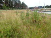 Thumbnail 419263 B