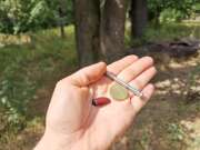 Thumbnail 422963 B