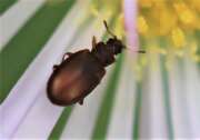 Thumbnail 426096 B