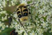 Thumbnail 426758 B