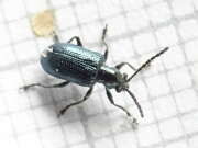 Thumbnail 427437 B