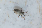Thumbnail 428078 B