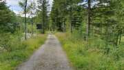 Thumbnail 428258 C