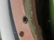 Thumbnail 428592 A