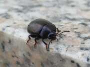 Thumbnail 428906 B