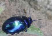 Thumbnail 429038 B