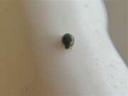 Thumbnail 429852 B