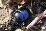Thumbnail 429952 B