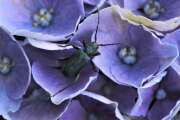 Thumbnail 430049 B