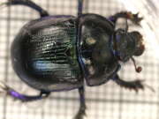 Thumbnail 430669 B
