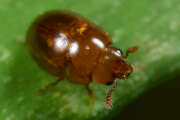 Thumbnail 430829 B