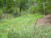 Thumbnail 430859 B