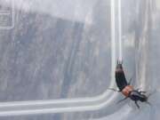Thumbnail 431371 B