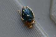 Thumbnail 431524 B