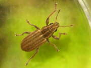 Thumbnail 432659 B